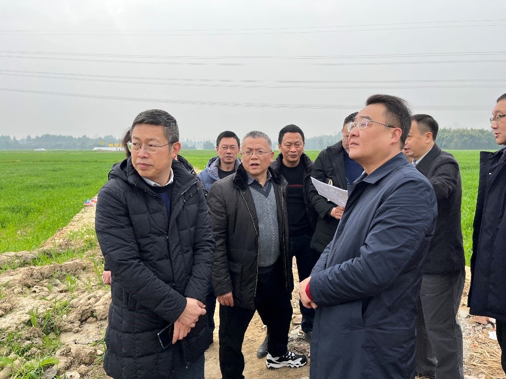 省社、省供投集團領(lǐng)導調(diào)研青白江區(qū)四川現(xiàn)代供銷種業(yè)園區(qū)