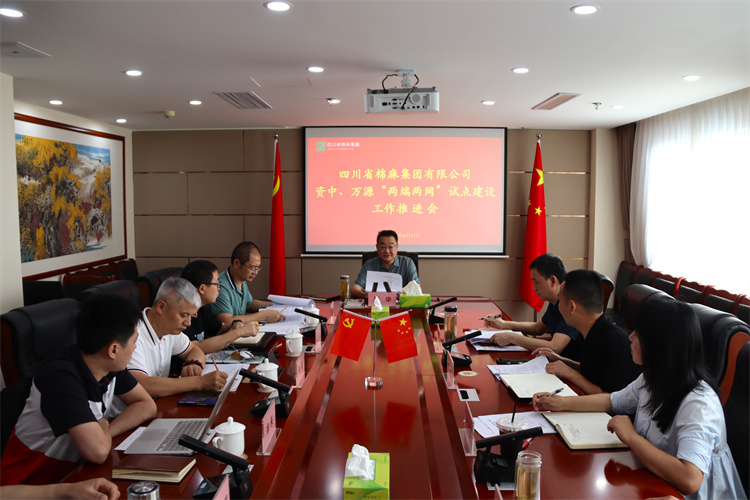 鄧華主持召開資中、萬源“兩端兩網(wǎng)”試點建設(shè)工作推進會