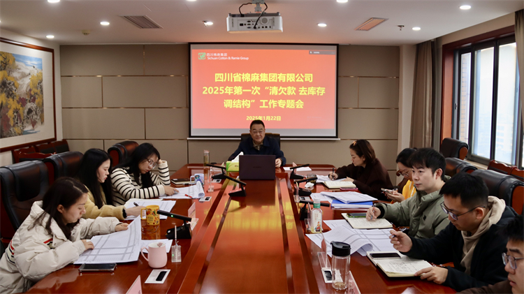 集團(tuán)公司召開2025年第一次“清欠款、去庫存、調(diào)結(jié)構(gòu)”工作專題會